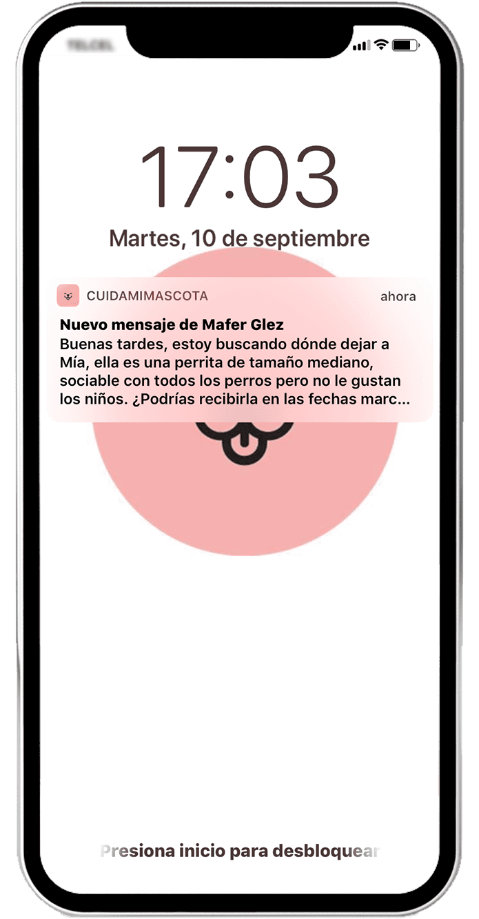 Notificaciones push